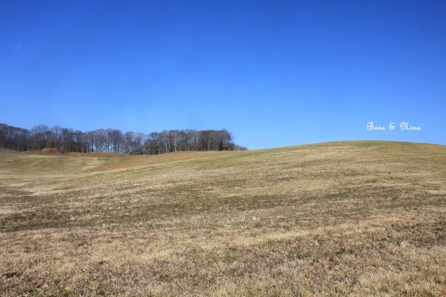 c0283778_12574633.jpg