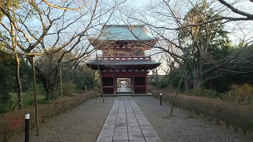 e0020682_11391354.jpg