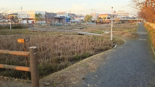 e0020682_11474457.jpg