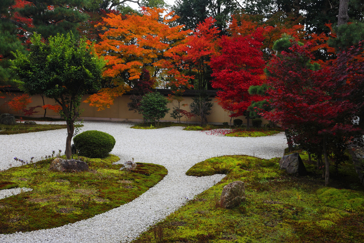 廬山寺_e0051888_2127636.jpg
