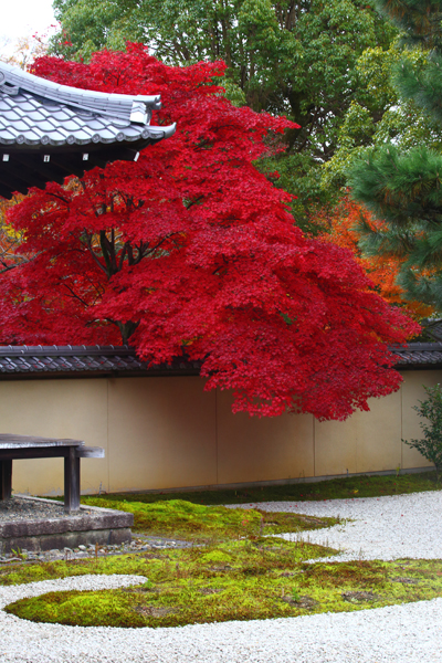 廬山寺_e0051888_21281388.jpg