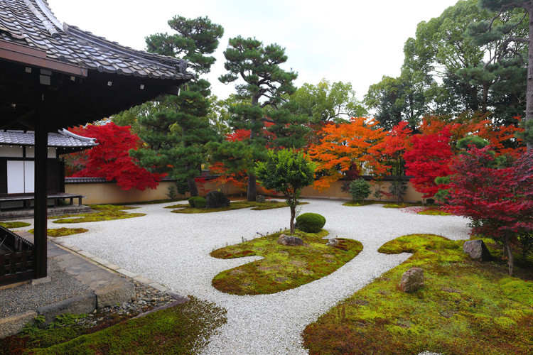 廬山寺_e0051888_21282447.jpg