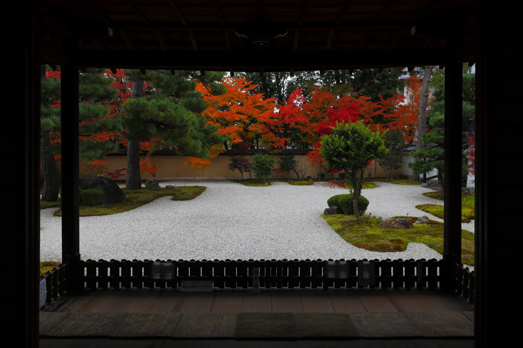 廬山寺_e0051888_21283530.jpg