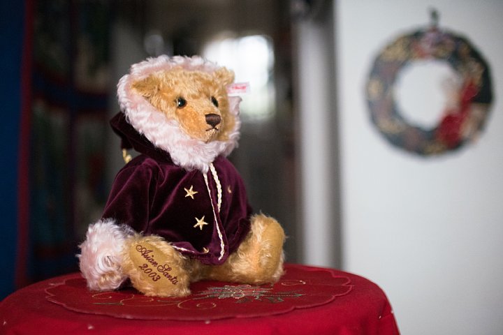クリスマスなテディベアたち (写真部門)_d0353489_16442242.jpg