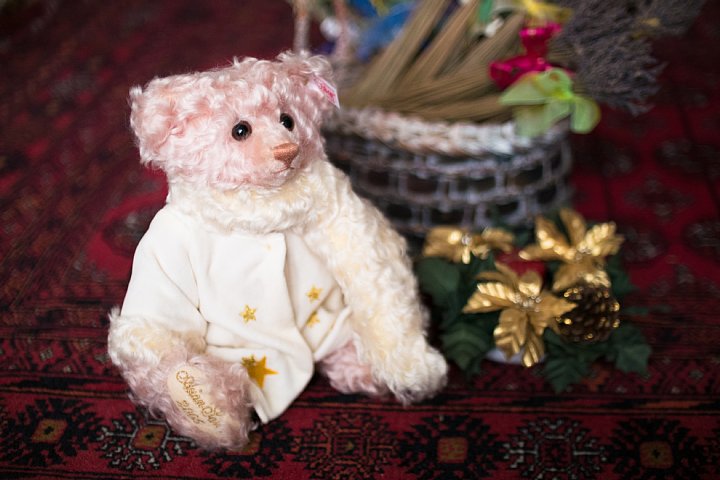 クリスマスなテディベアたち (写真部門)_d0353489_16444560.jpg