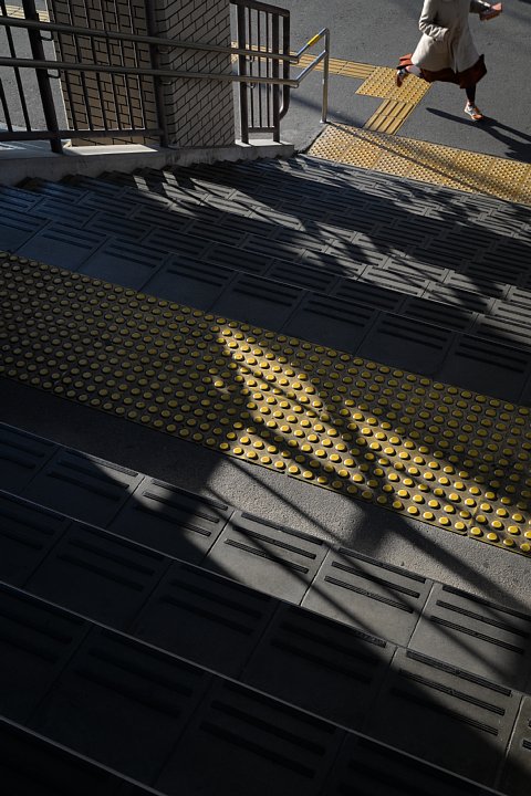 初冬の駅にひそむ光蜥蜴 (写真部門)_d0353489_17525257.jpg
