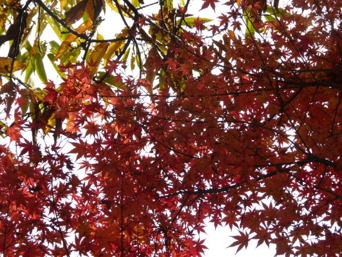 b0321595_01001059.jpg