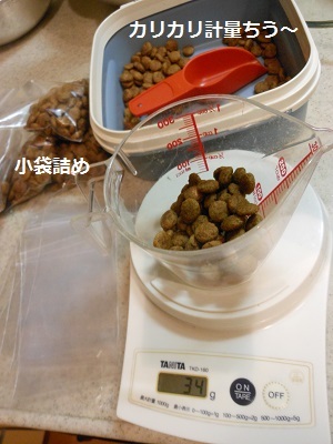 f0372998_17493697.jpg
