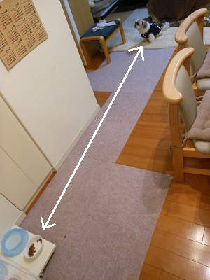 f0372998_17495413.jpg