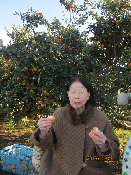 a0218800_1312821.jpg