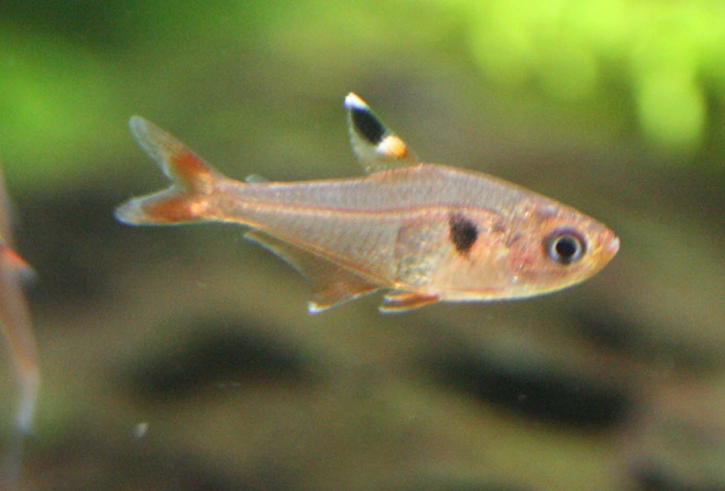 c0165800_19321737.jpg