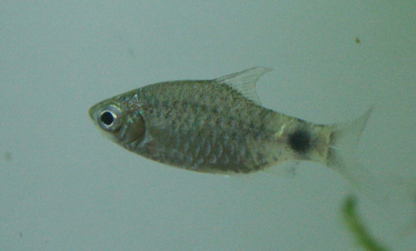 c0165800_19325767.jpg