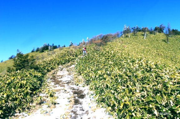 d0334100_08351690.jpg