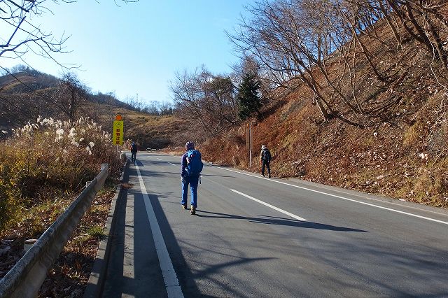 e0137200_1725793.jpg
