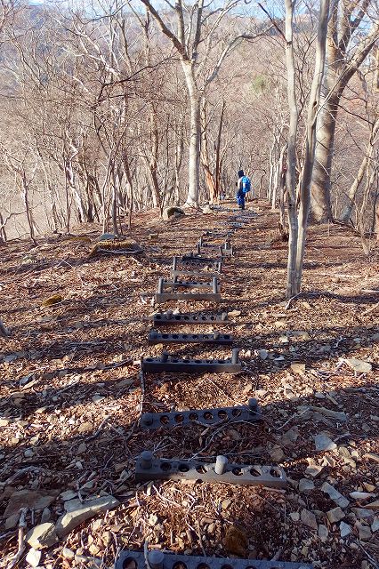e0137200_1773764.jpg