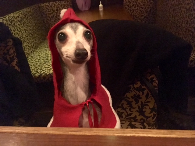 miumiuのクリスマス会。_a0050302_1550156.jpg