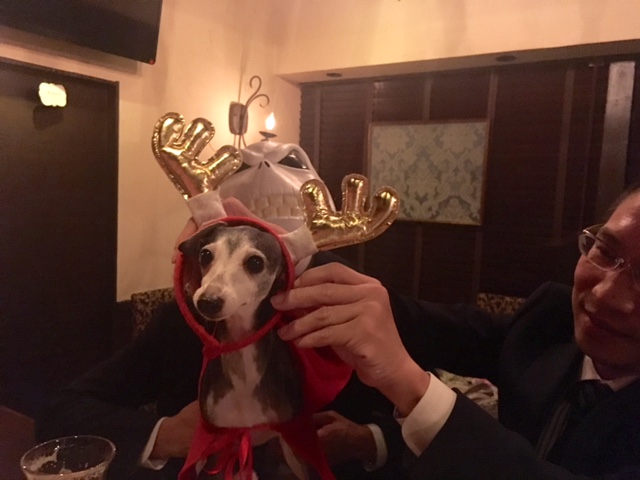 miumiuのクリスマス会。_a0050302_16403965.jpg