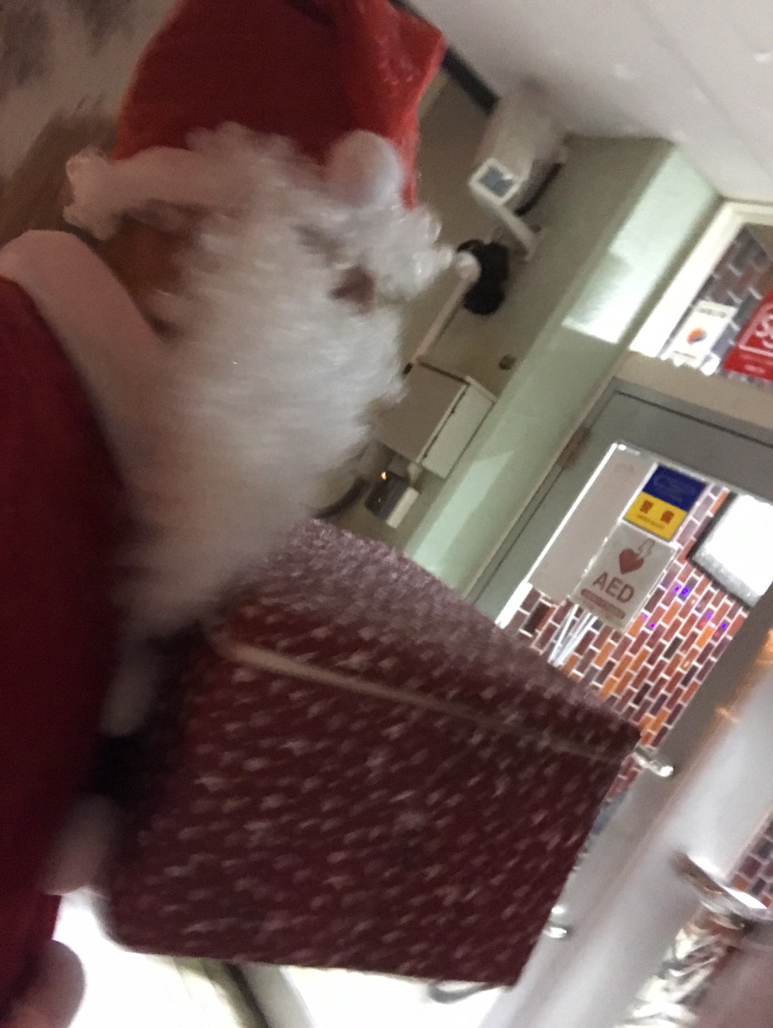 12月23日(金) 臨時!金曜日のひとログ(。・ω・。) ランクルの構造変更お任せ下さい♫TOMMY_b0127002_1818489.jpg