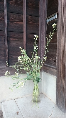 c0163102_20350061.jpg