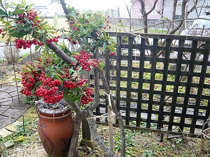 c0112206_8485322.jpg
