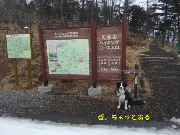 d0224111_19393985.jpg
