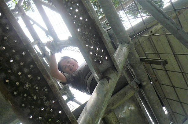 d0007913_23363000.jpg