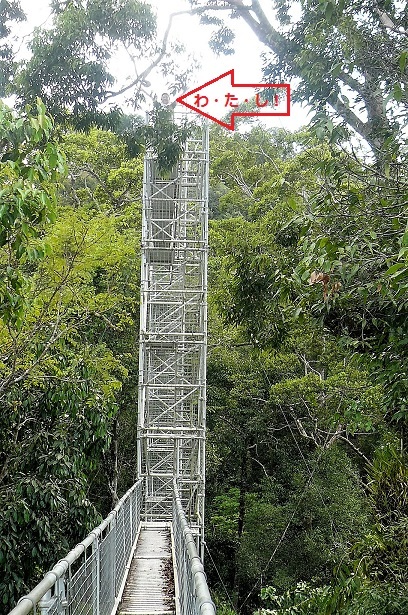 d0007913_23364884.jpg