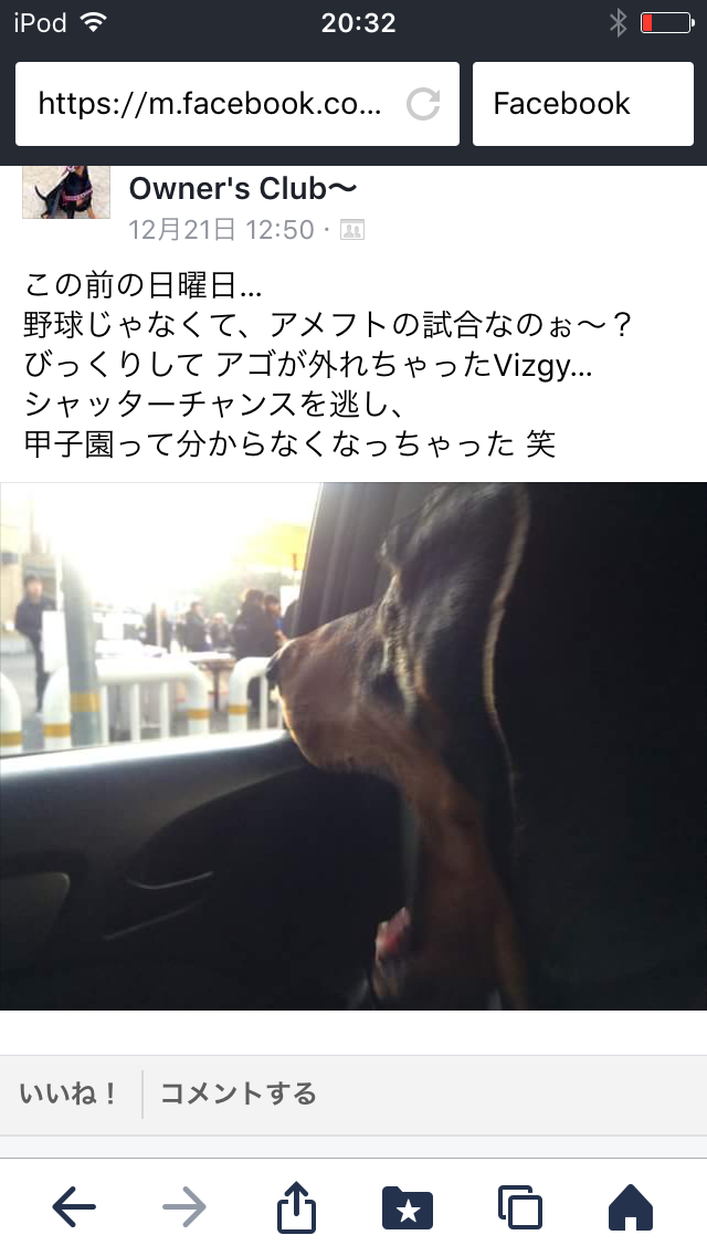 c0324418_20335409.png