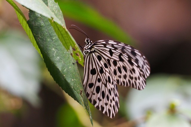 c0369423_21063732.jpg