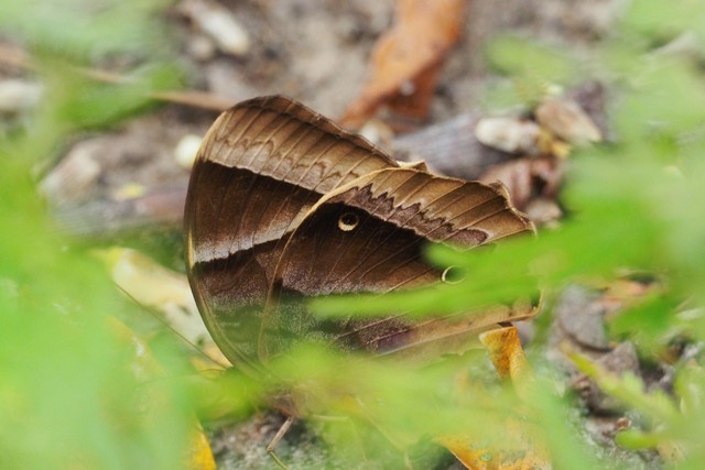 c0369423_21063831.jpg