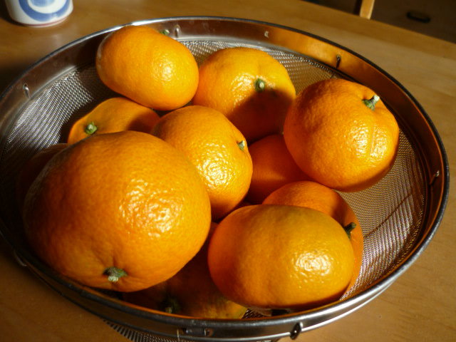 c0117525_21362200.jpg