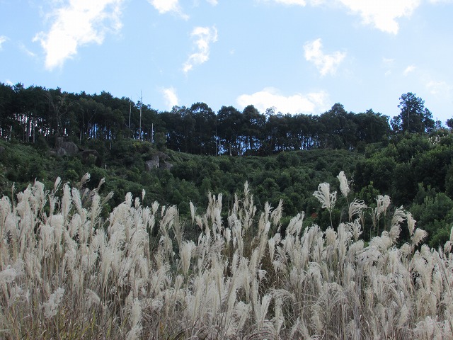 梶賀峠コース10kmウォーキング(その2)_e0321325_13415331.jpg