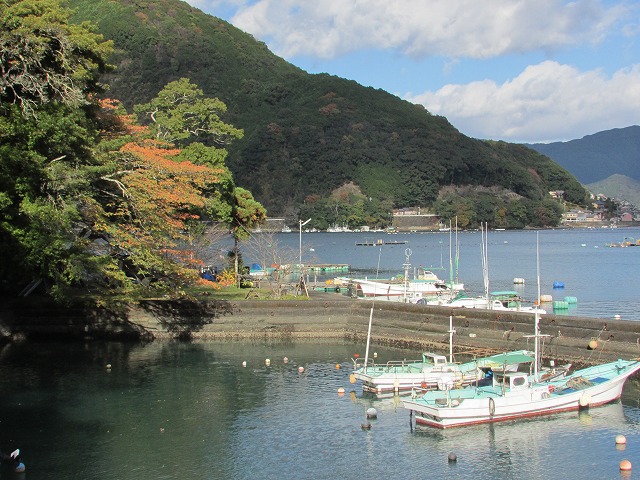 梶賀峠コース10kmウォーキング(その2)_e0321325_13471765.jpg