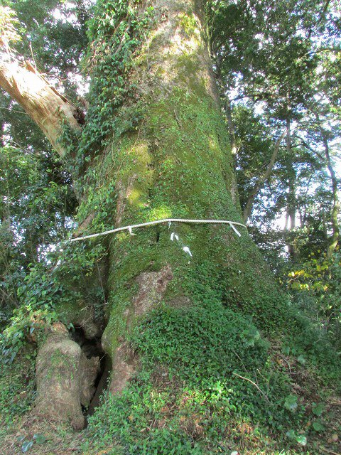 梶賀峠コース10kmウォーキング(その2)_e0321325_13485724.jpg