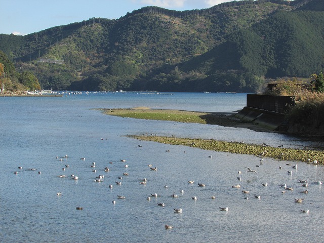 梶賀峠コース10kmウォーキング(その2)_e0321325_1352141.jpg