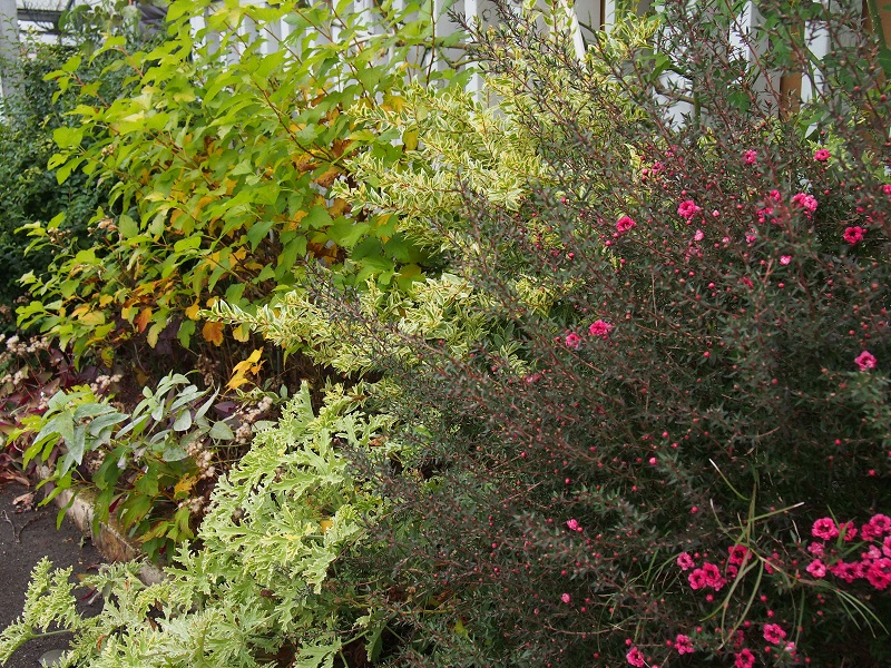 b0368629_932887.jpg