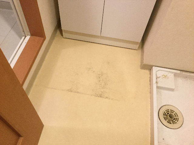 f0031037_06015969.jpg