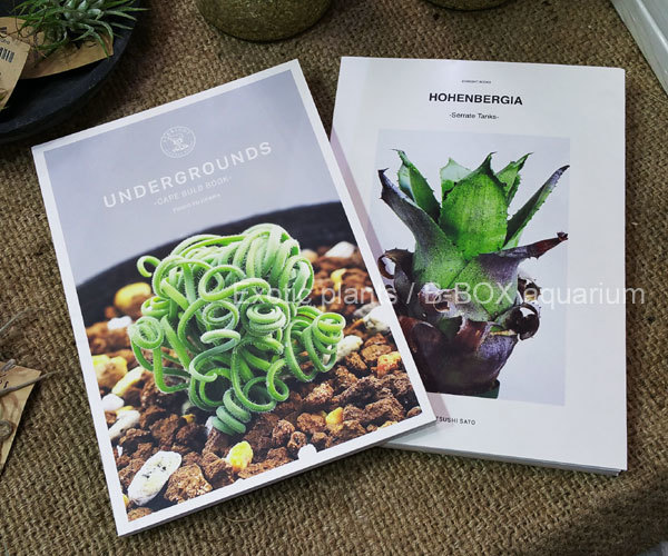 MIST LOVERS -Rainforest Plants- ミストラバーズという熱帯雨林 MIST LOVERS -Rainforest Plants- ミストラバーズという熱帯雨林