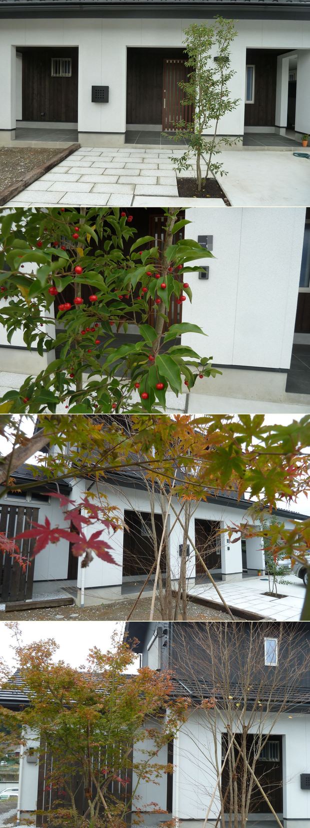 横浜市旭区の家☆植栽を少しずつ・・_c0152341_9544678.jpg
