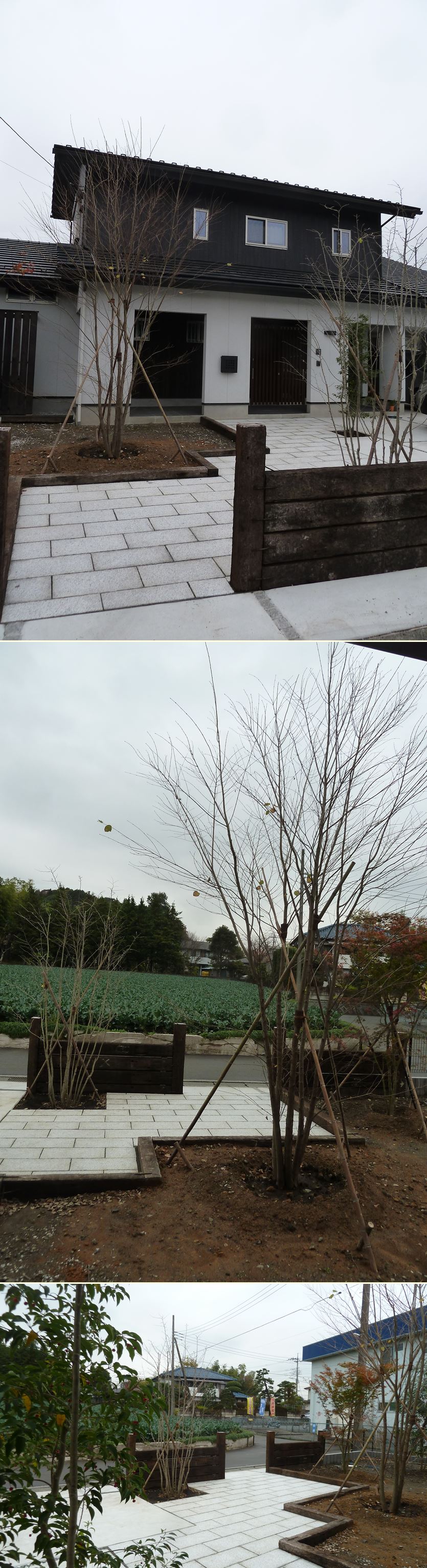 横浜市旭区の家☆植栽を少しずつ・・_c0152341_9555671.jpg