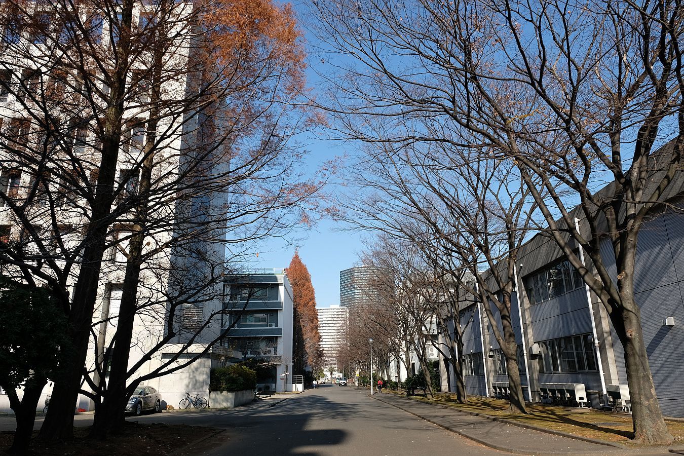 b0212342_18064698.jpg