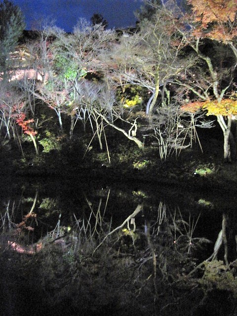 f0379049_22275973.jpg