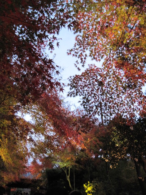 f0379049_22432806.jpg