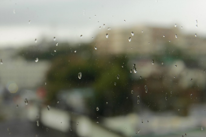 a0248459_06282820.jpg