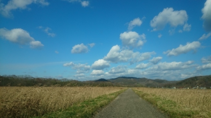 f0358360_17375356.jpg