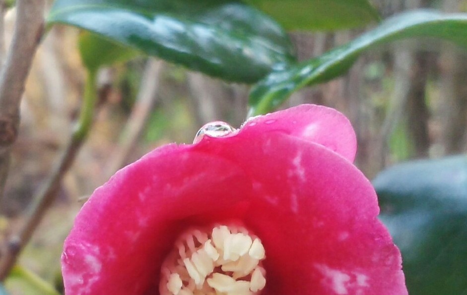 b0368362_08164421.jpg