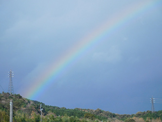 b0057675_21000384.jpg