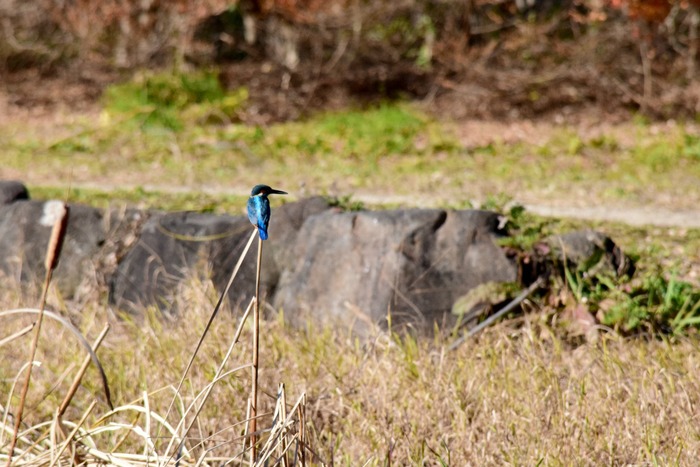 a0127090_2224134.jpg