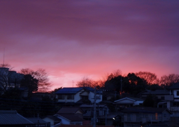 d0318191_23020155.jpg
