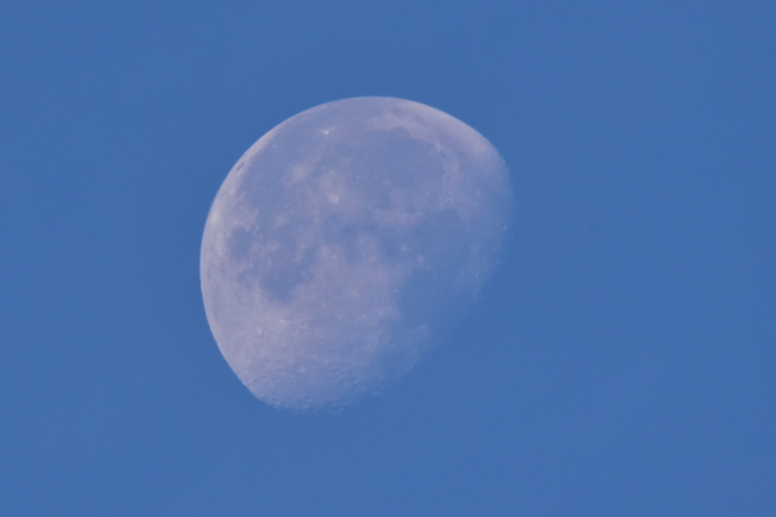 c0049299_21581790.jpg